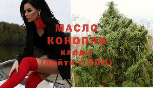твердый Арсеньев