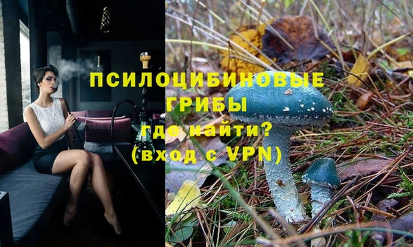твердый Арсеньев