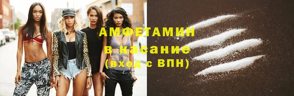 твердый Арсеньев