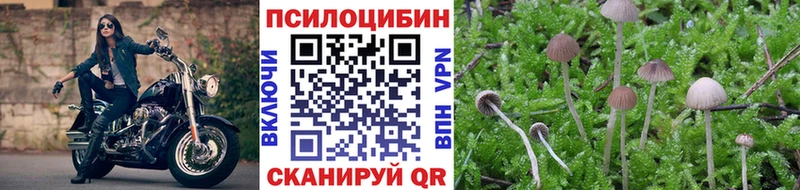 Псилоцибиновые грибы Cubensis Константиновск
